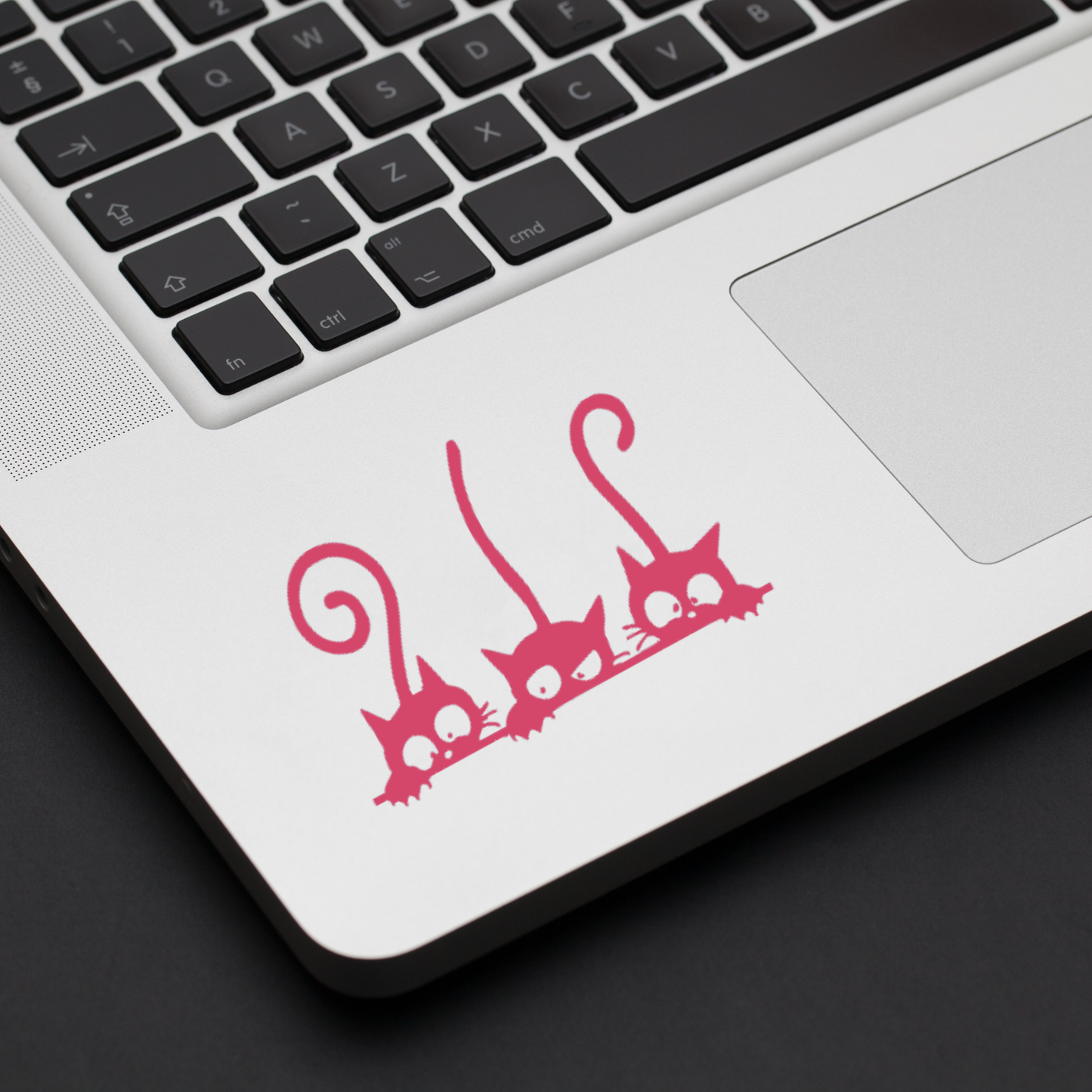 Peeking Cats Vinyl Decal