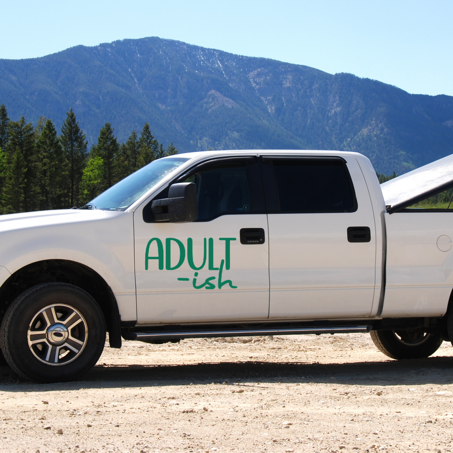 Adult-ish Funny Quote Vinyl Decal