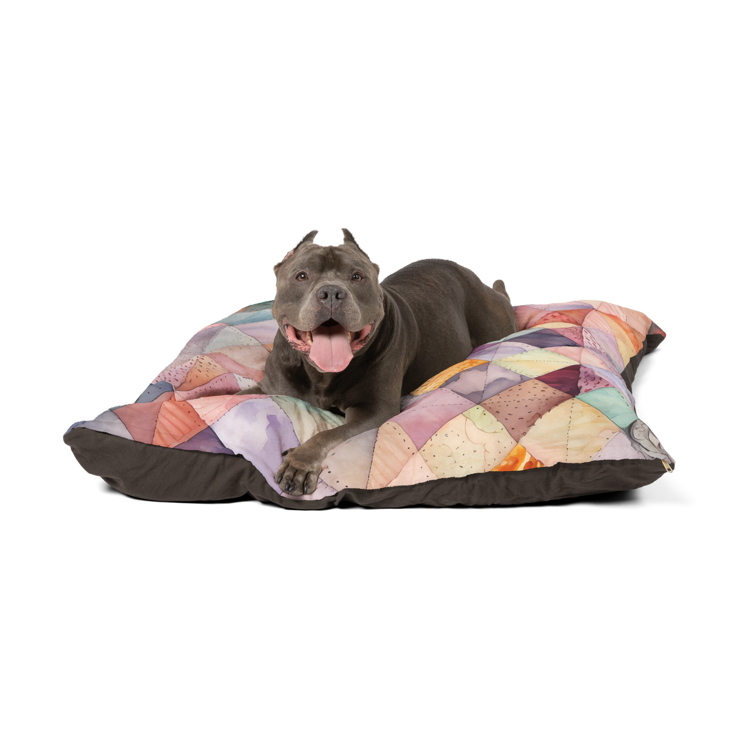 Dog Gear
